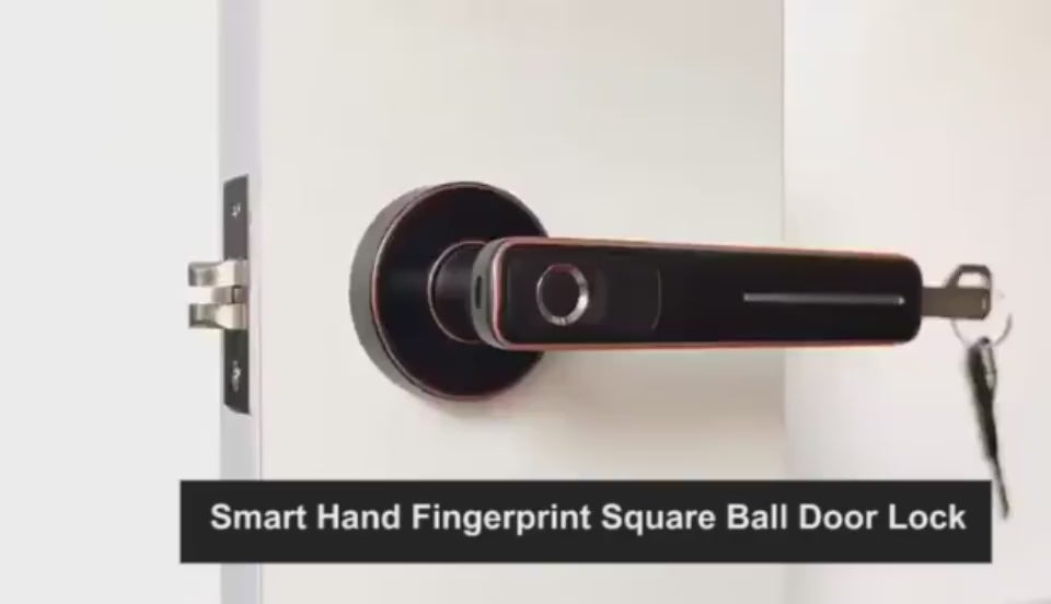Smart Hand Fingerprint Square Ball Door Lock